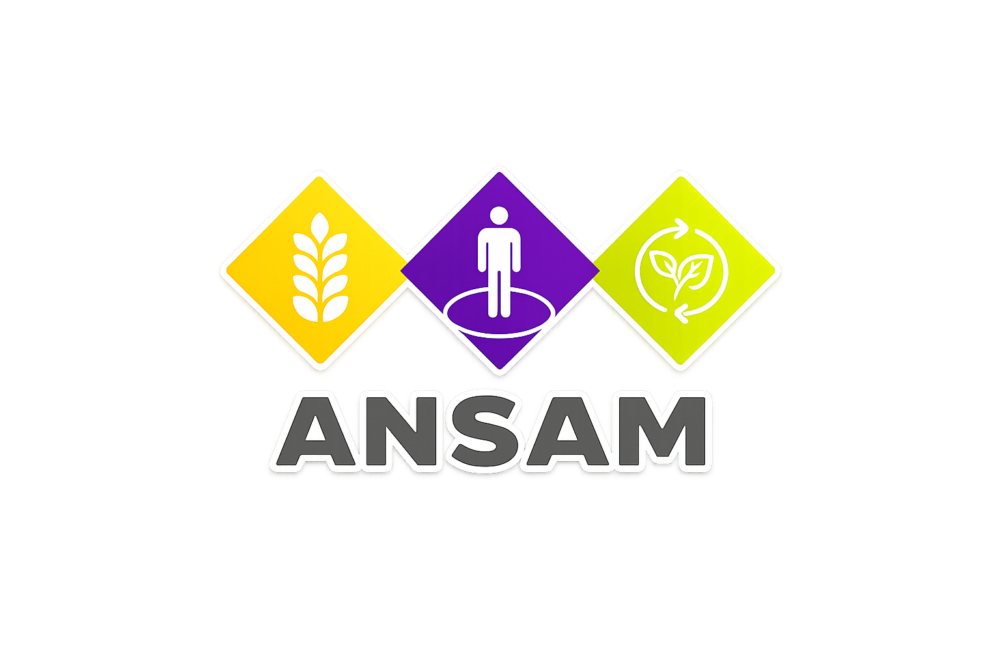 ansan.modoviral.com